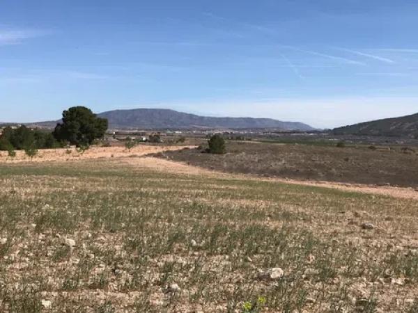 Terreno en Polígono, 167