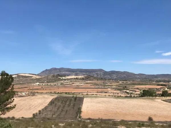 Terreno en Polígono, 167