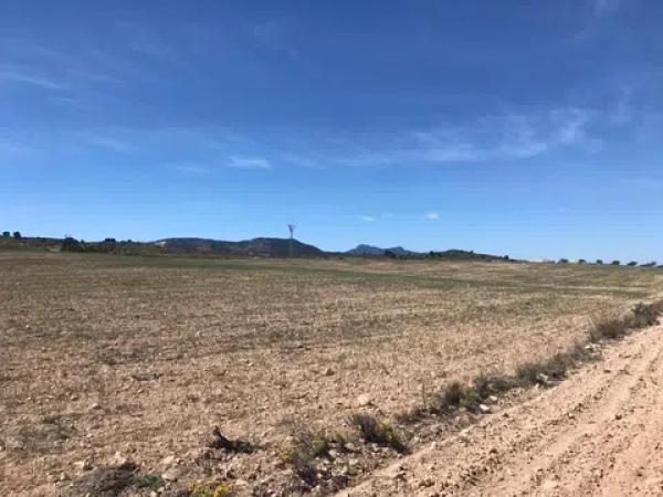 Terreno en Polígono, 167