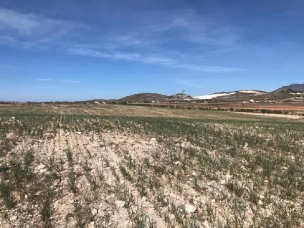 Terreno en Polígono, 167