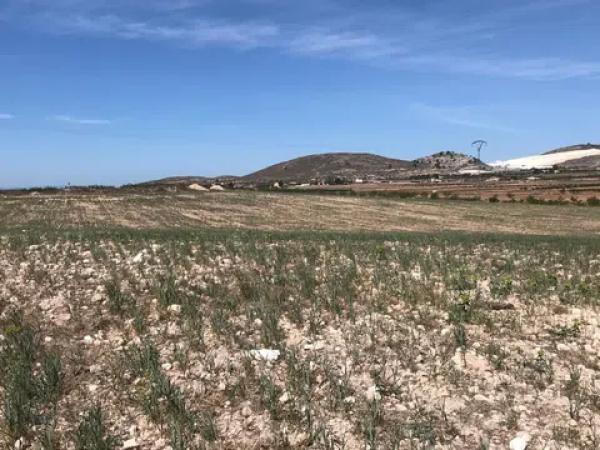 Terreno en Polígono, 167