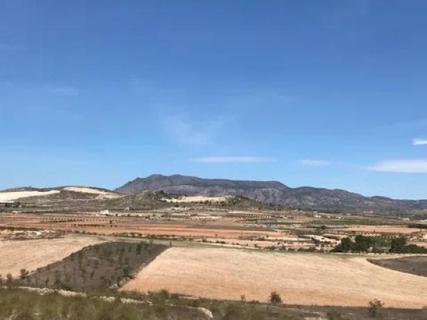 Terreno en Polígono, 167