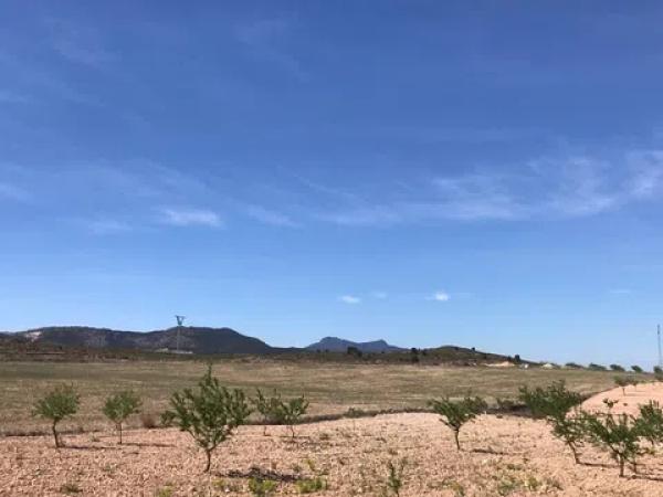 Terreno en Polígono, 167