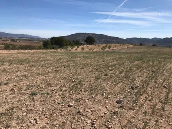 Terreno en Polígono, 167