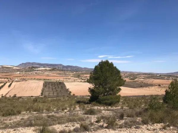 Terreno en Polígono, 167