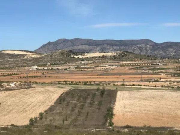 Terreno en Polígono, 167
