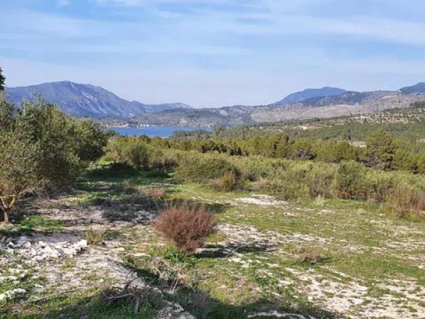 Terreno en Partida Morquera, km 10.260