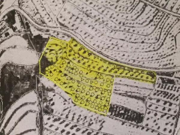 Terreno en Partida Morquera, km 10.260