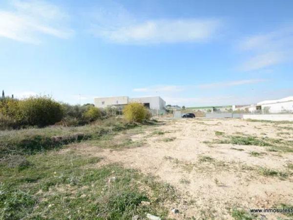 Terreno en Bigastro