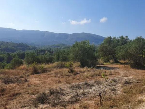 Terreno en Partida Morquera, km 10.260