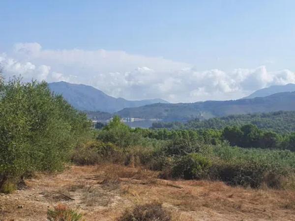 Terreno en Partida Morquera, km 10.260