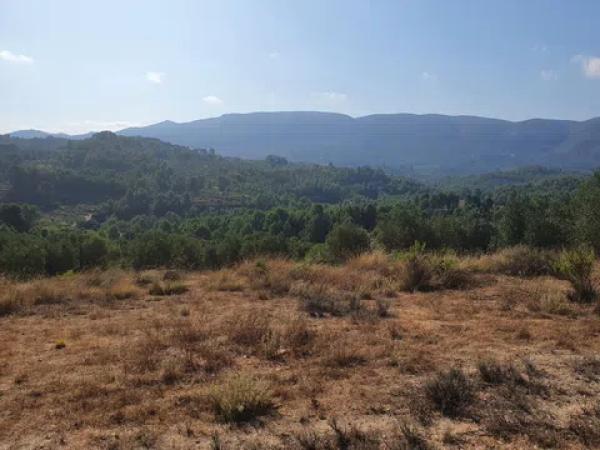 Terreno en Partida Morquera, km 10.260