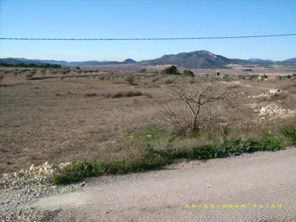 Terreno en Paraje Camara, 287