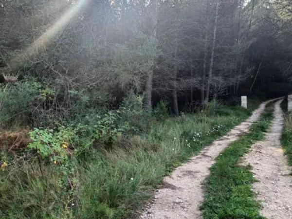 Terreno en Tarbena s/n