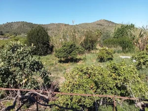 Terreno en Marjal, 4