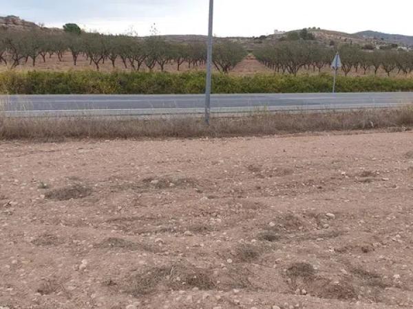 Terreno en camino Toscar Lel