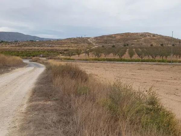 Terreno en camino Toscar Lel