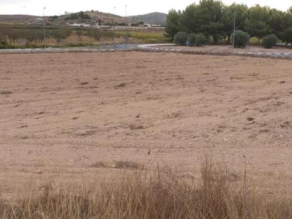 Terreno en camino Toscar Lel