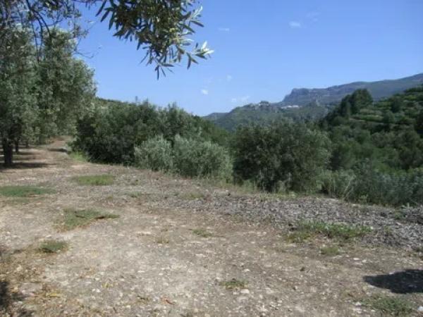 Terreno en Beniarda