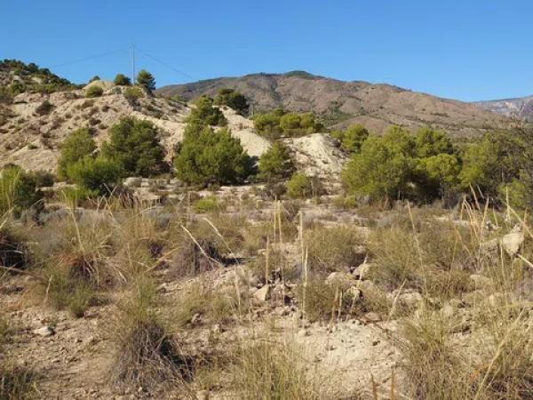 Terreno en Partida Damunt l'Horta