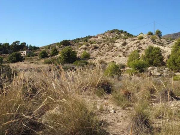 Terreno en Partida Damunt l'Horta