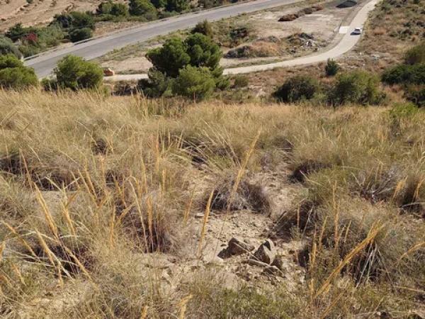 Terreno en Partida Damunt l'Horta