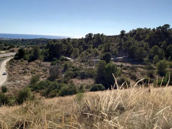 Terreno en Partida Damunt l'Horta