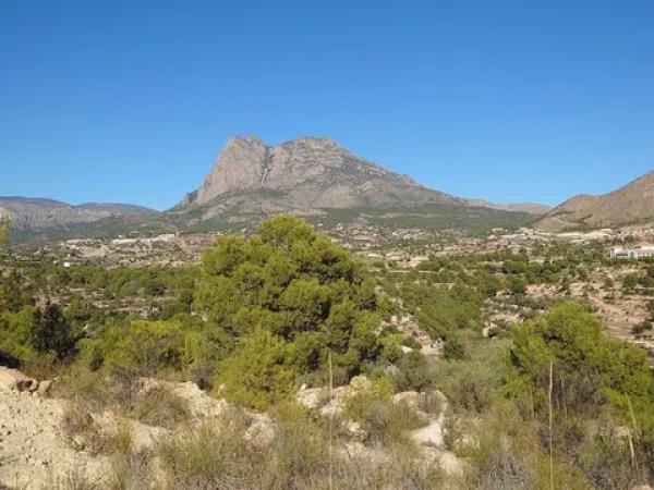 Terreno en Partida Damunt l'Horta