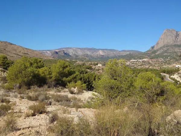 Terreno en Partida Damunt l'Horta