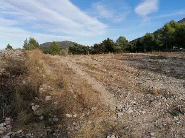 Terreno en carretera Cv-754 polígono 4 parcelas 93 y 92 s/n