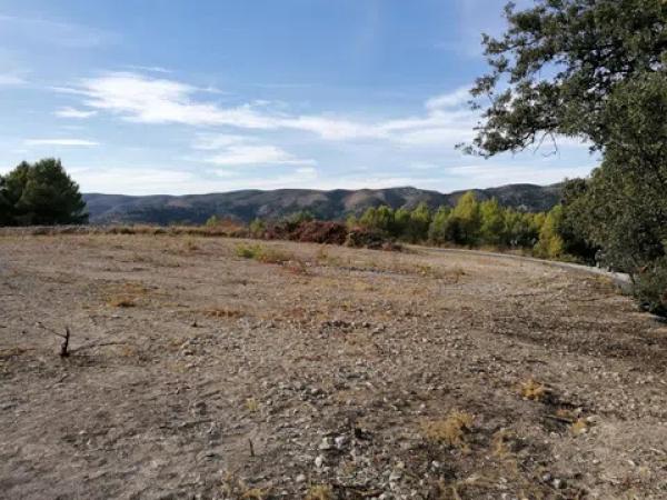 Terreno en carretera Cv-754 polígono 4 parcelas 93 y 92 s/n