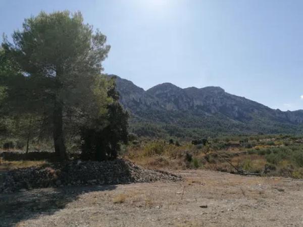 Terreno en carretera Cv-754 polígono 4 parcelas 93 y 92 s/n