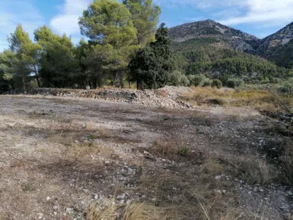 Terreno en carretera Cv-754 polígono 4 parcelas 93 y 92 s/n