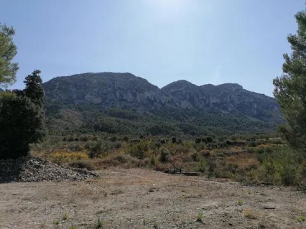 Terreno en carretera Cv-754 polígono 4 parcelas 93 y 92 s/n