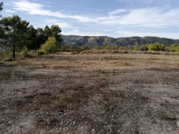 Terreno en carretera Cv-754 polígono 4 parcelas 93 y 92 s/n