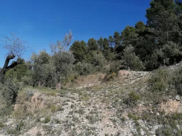 Terreno en carretera Cv-754 polígono 4 parcelas 154 y 158 s/n