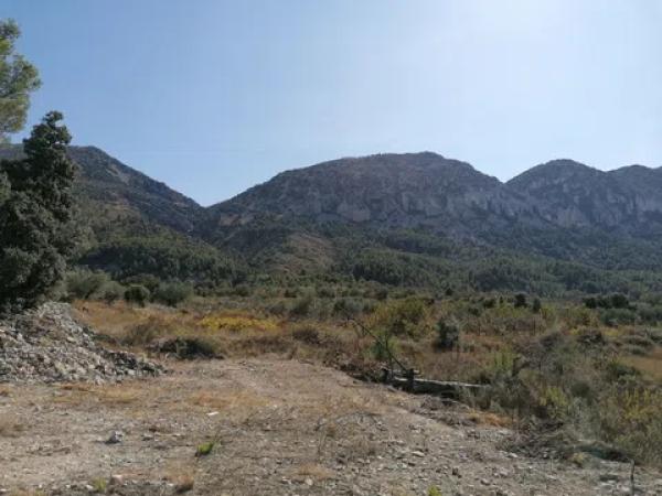 Terreno en carretera Cv-754 polígono 4 parcelas 93 y 92 s/n