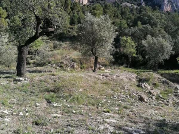 Terreno en carretera Cv-754 polígono 4 parcelas 154 y 158 s/n