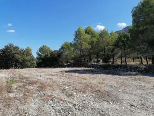 Terreno en carretera Cv-754 polígono 4 parcelas 93 y 92 s/n