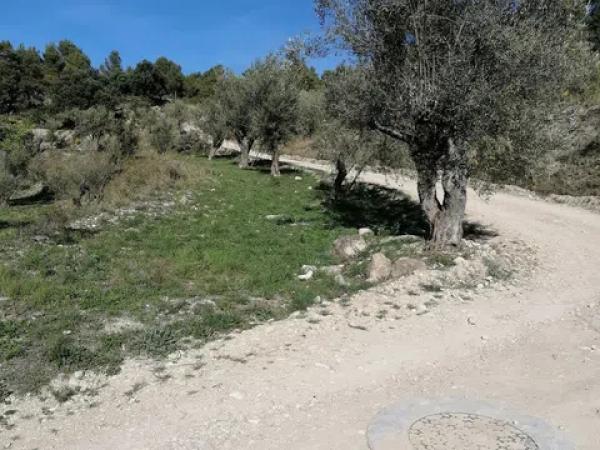 Terreno en carretera Cv-754 polígono 4 parcelas 154 y 158 s/n