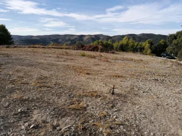 Terreno en carretera Cv-754 polígono 4 parcelas 93 y 92 s/n