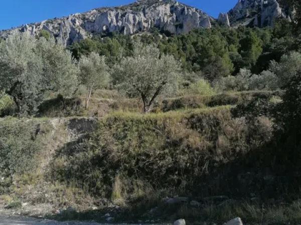 Terreno en carretera Cv-754 polígono 4 parcelas 154 y 158 s/n