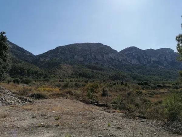 Terreno en carretera Cv-754 polígono 4 parcelas 93 y 92 s/n