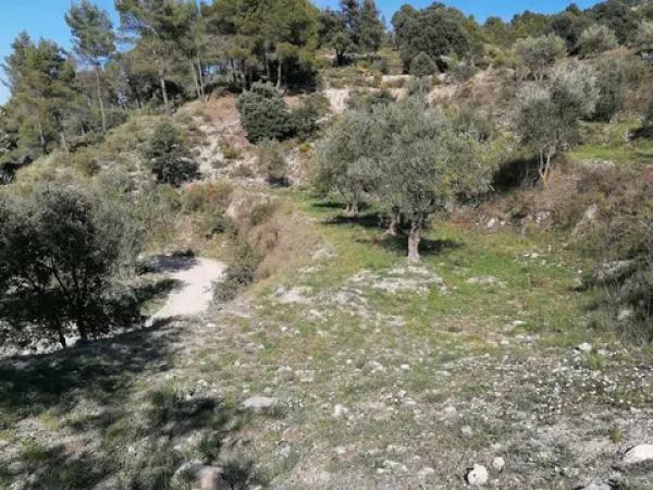 Terreno en carretera Cv-754 polígono 4 parcelas 154 y 158 s/n