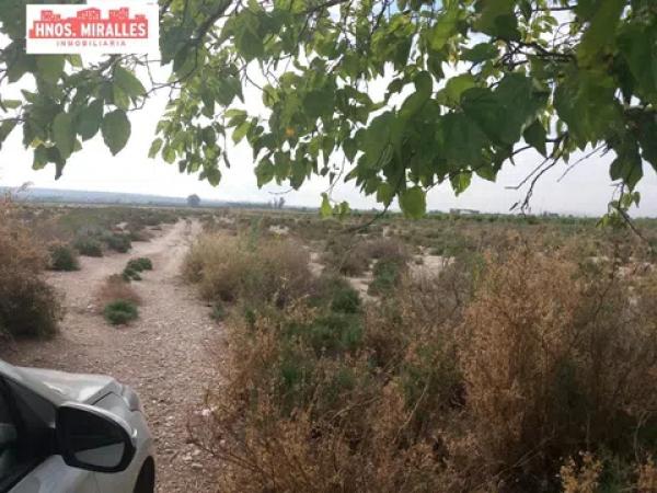 Terreno en Almoradí