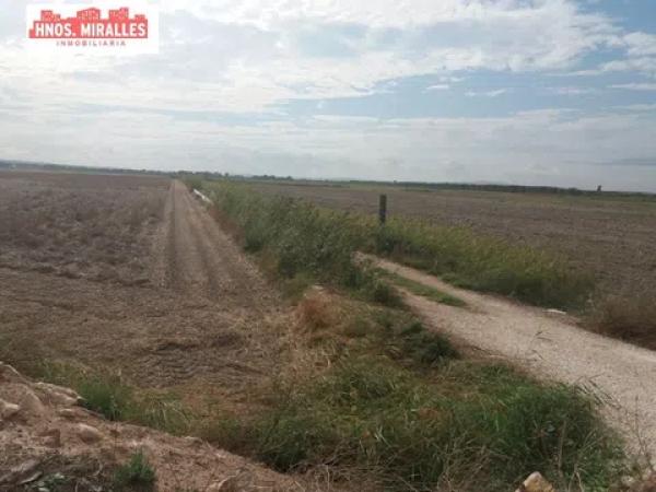 Terreno en Almoradí