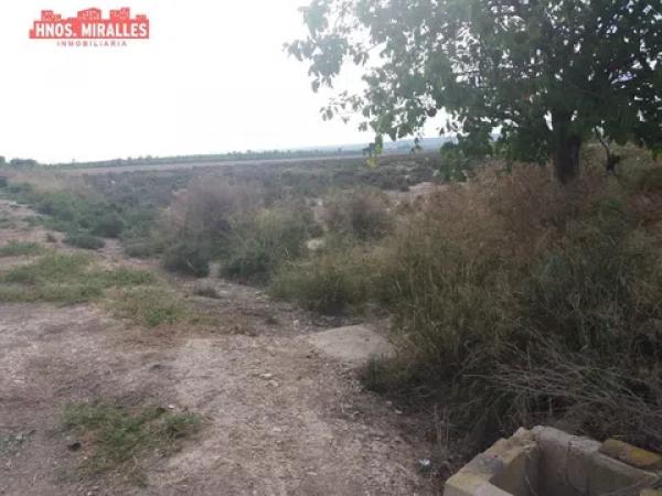 Terreno en Almoradí