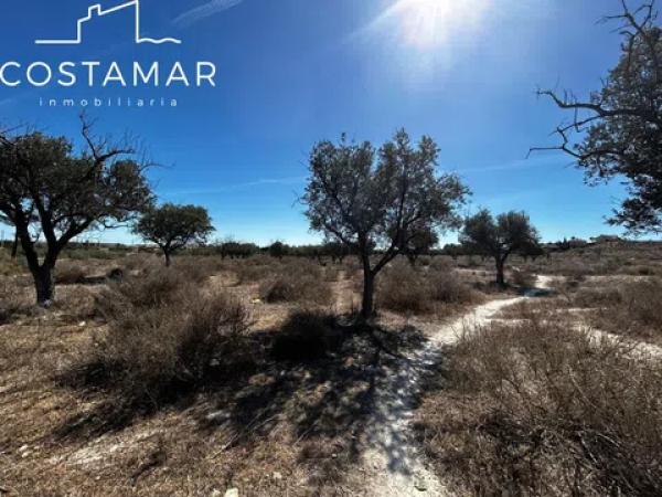 Terreno en calle Mig Jorn, 20