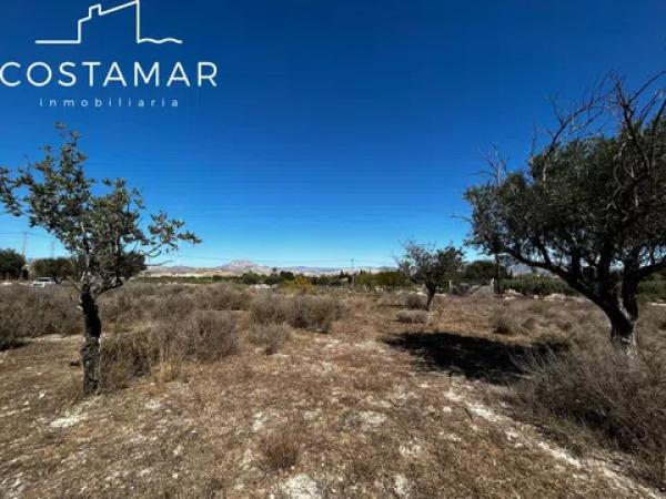 Terreno en calle Mig Jorn, 20