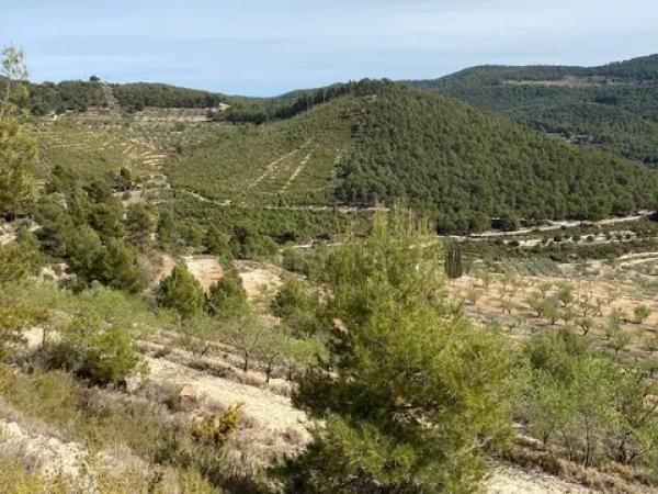 Terreno en Barranc l orta, 1